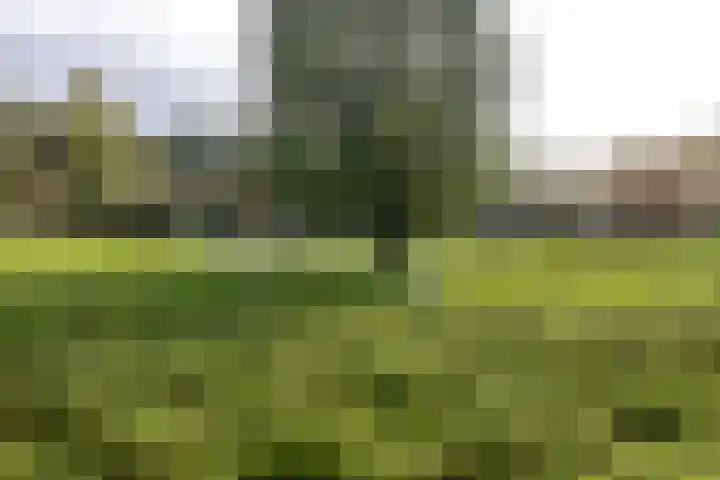 Fossemaheerd 155 Groningen thumbnail 74