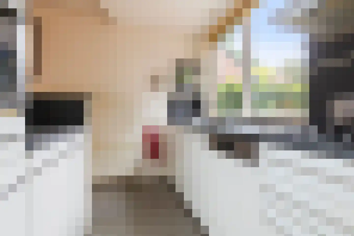 Fossemaheerd 168 Groningen thumbnail 15