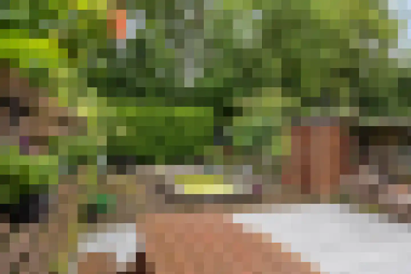 Fossemaheerd 168 Groningen thumbnail 31