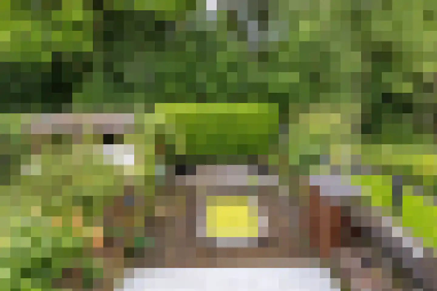 Fossemaheerd 168 Groningen thumbnail 32