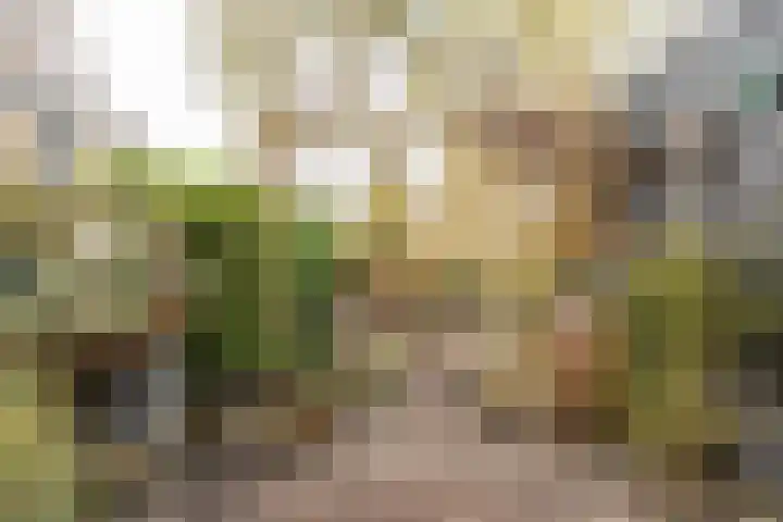 Fossemaheerd 202 Groningen thumbnail 17