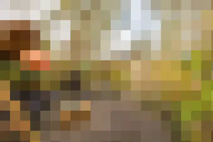 Fossemaheerd 202 Groningen thumbnail 18