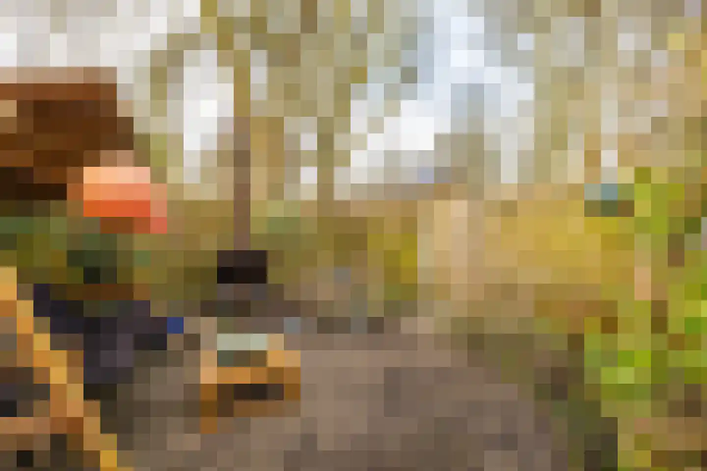 Fossemaheerd 202 Groningen thumbnail 18