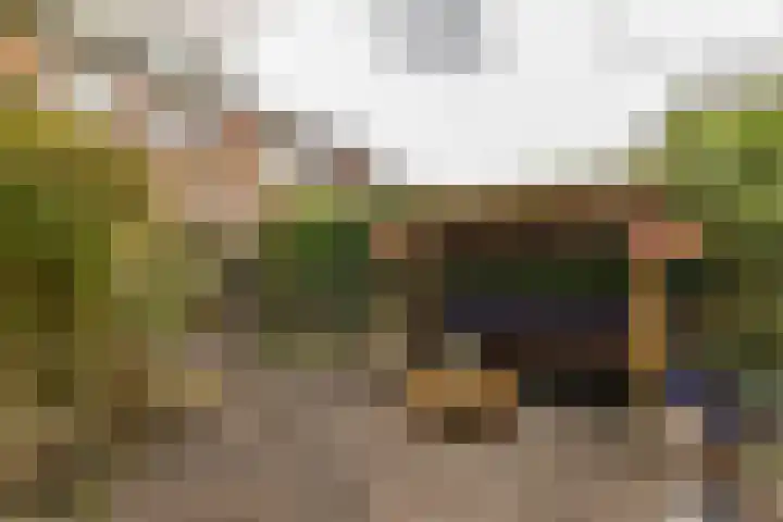 Fossemaheerd 202 Groningen thumbnail 19