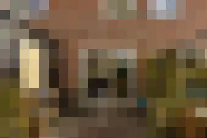 Fossemaheerd 202 Groningen thumbnail 21