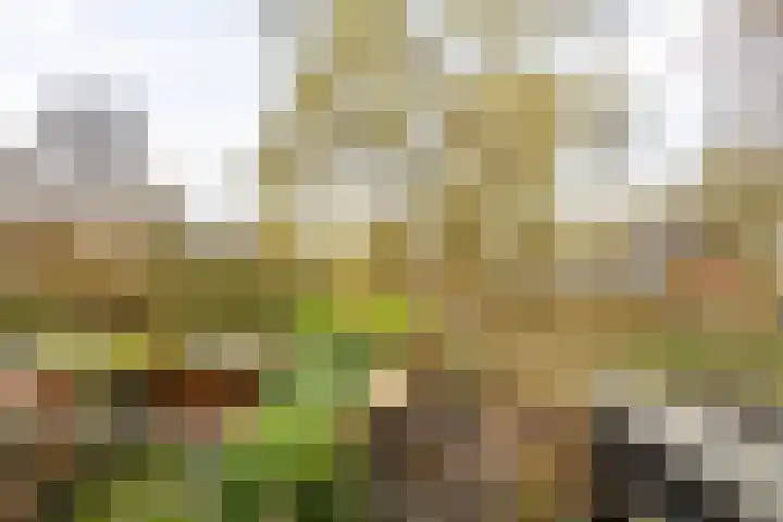 Fossemaheerd 202 Groningen thumbnail 24
