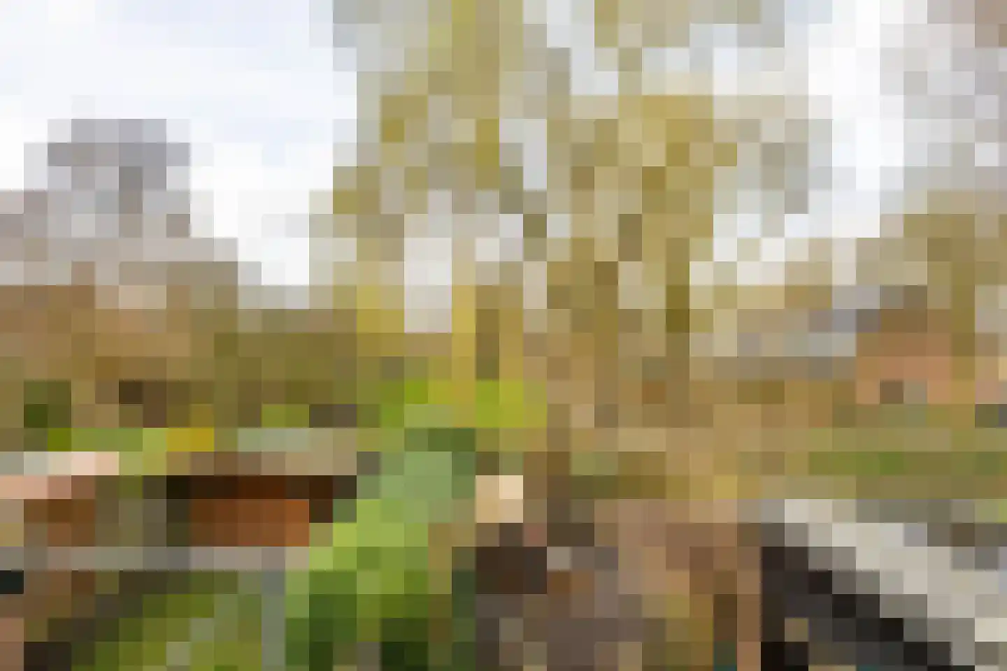 Fossemaheerd 202 Groningen thumbnail 24