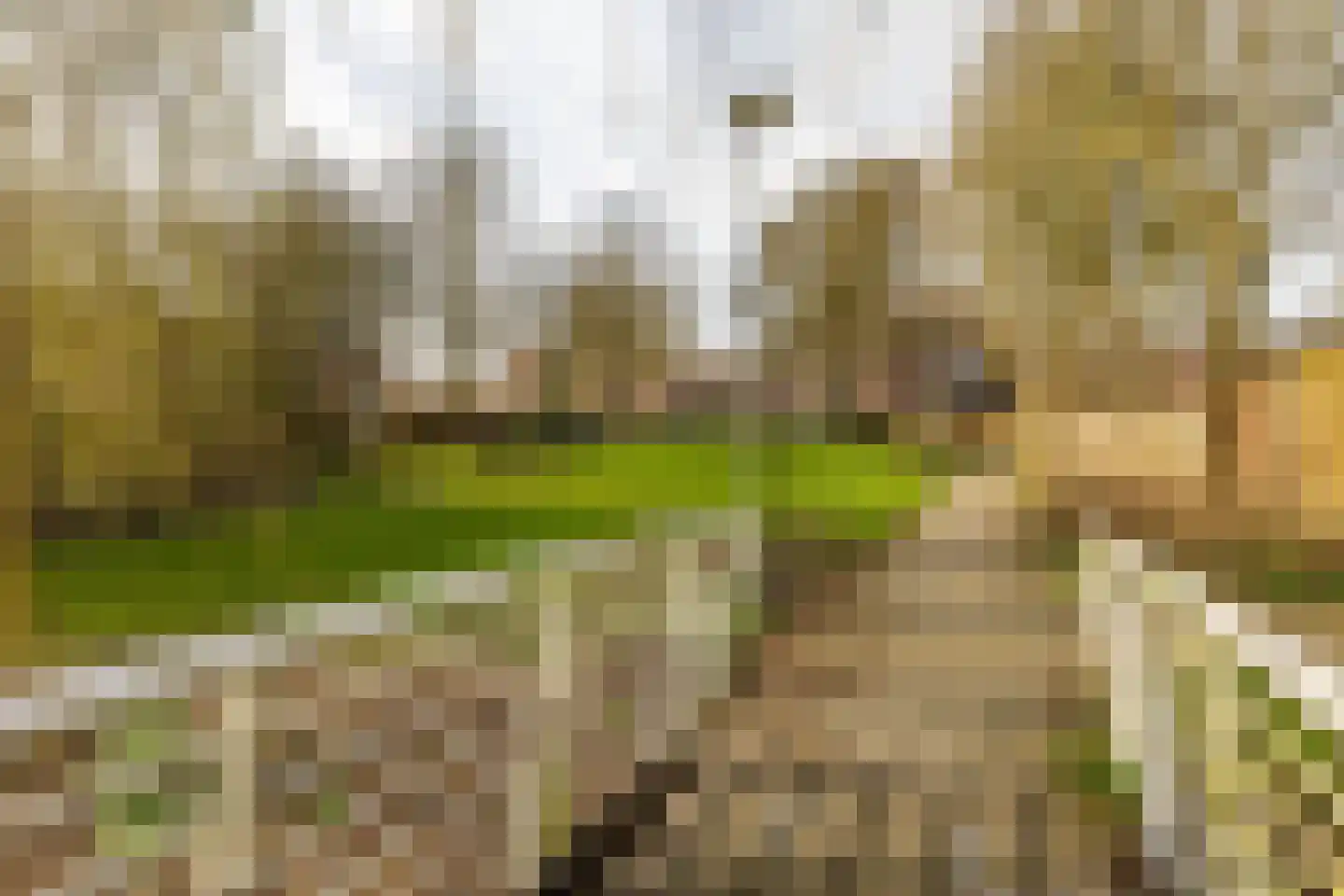 Fossemaheerd 202 Groningen thumbnail 37