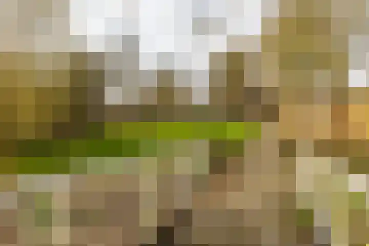 Fossemaheerd 202 Groningen thumbnail 37