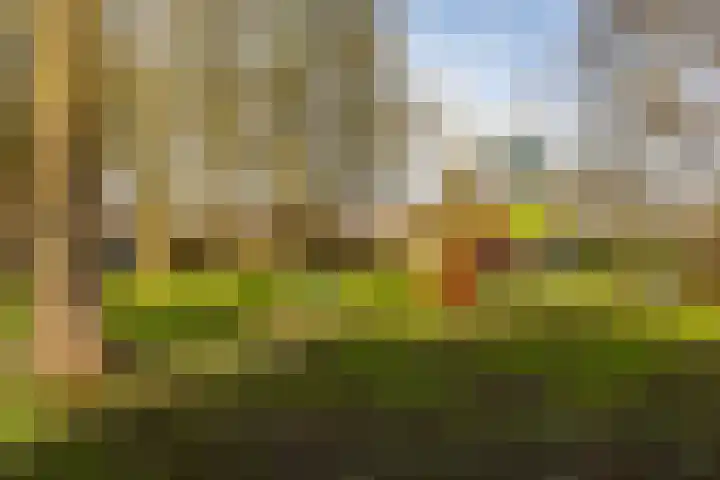 Fossemaheerd 202 Groningen thumbnail 38