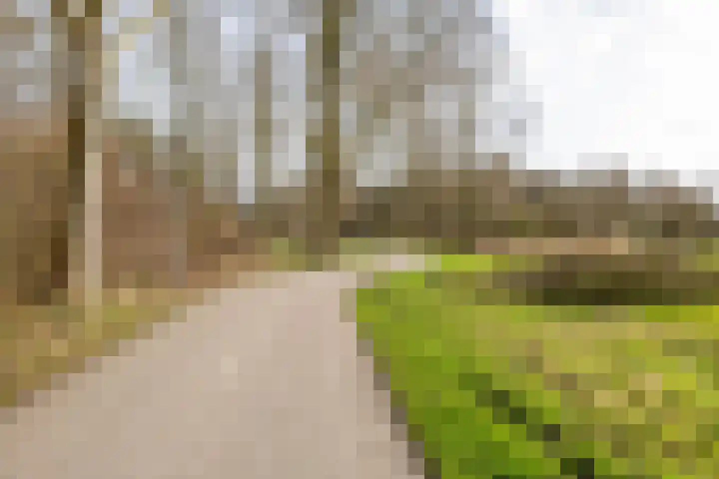Fossemaheerd 202 Groningen thumbnail 39