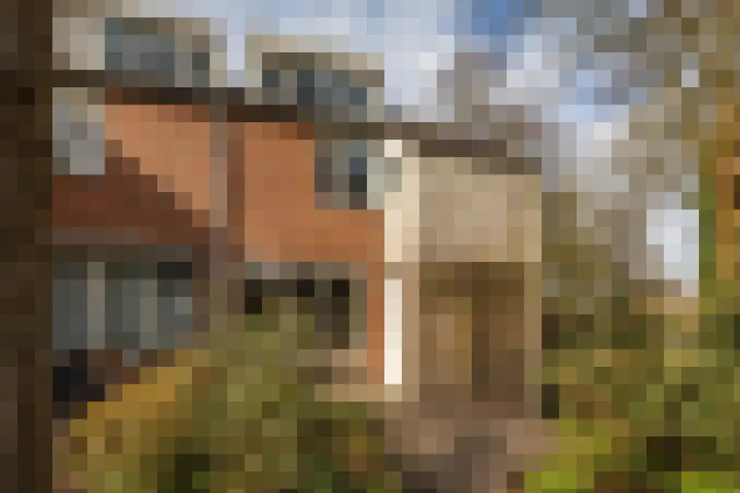 Fossemaheerd 202 Groningen thumbnail 6