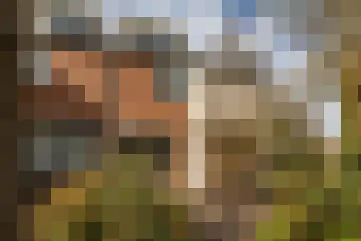 Fossemaheerd 202 Groningen thumbnail 6