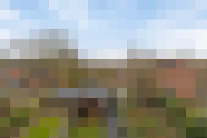Fossemaheerd 37 Groningen thumbnail 28