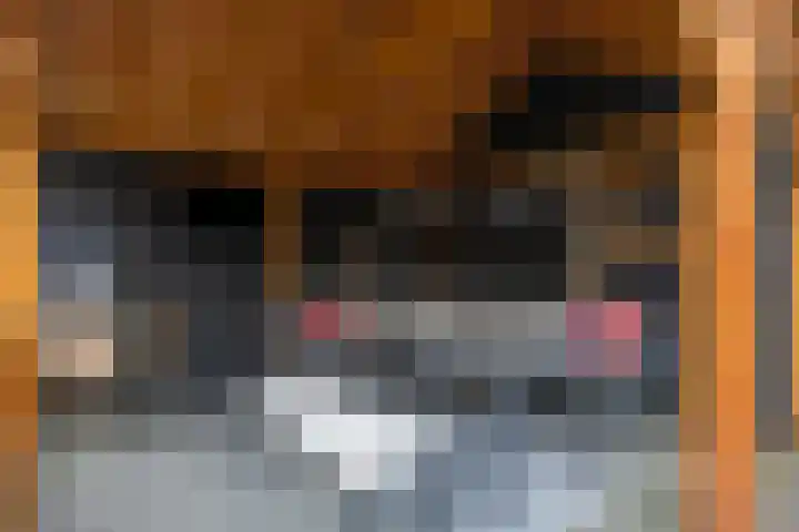 Fossemaheerd 37 Groningen thumbnail 32