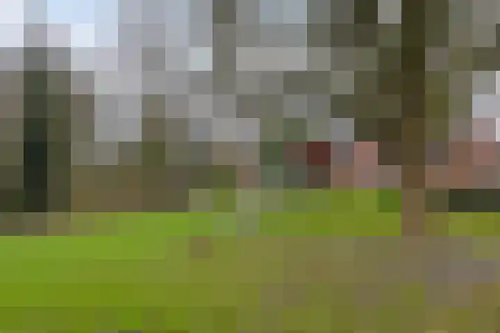 Fossemaheerd 37 Groningen thumbnail 37