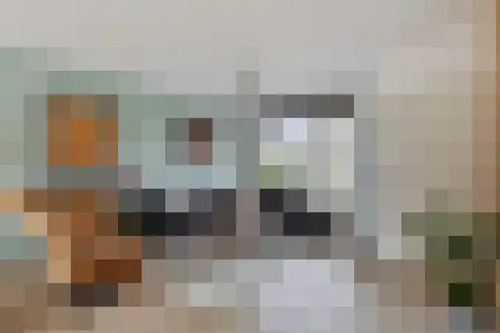 Fossemaheerd 37 Groningen thumbnail 9