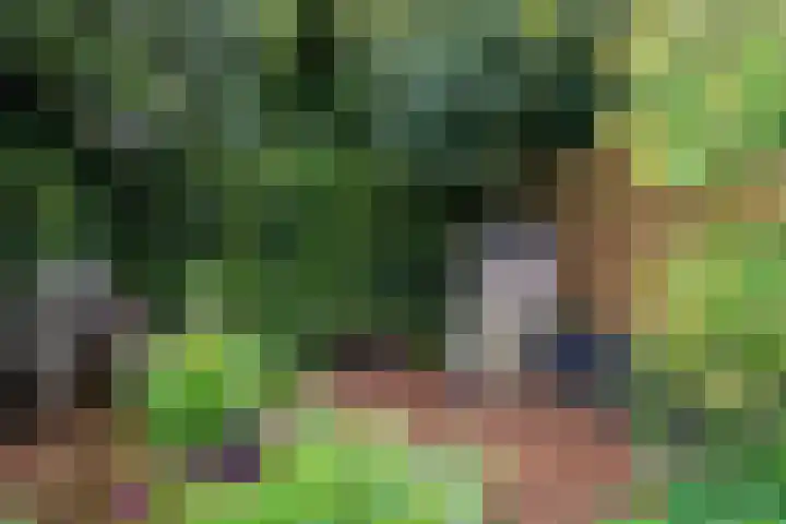 Fossemaheerd 61 Groningen thumbnail 24