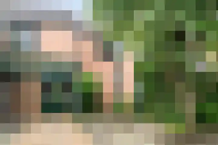 Fossemaheerd 61 Groningen thumbnail 28