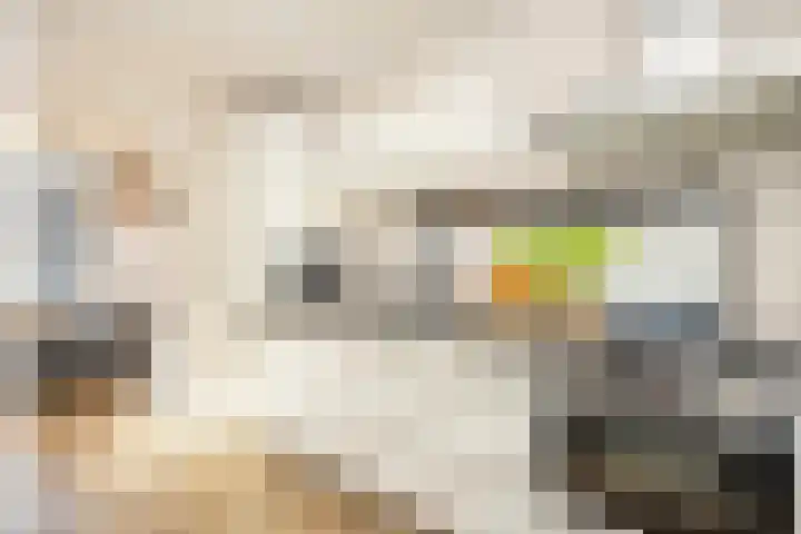 Fossemaheerd 61 Groningen thumbnail 4