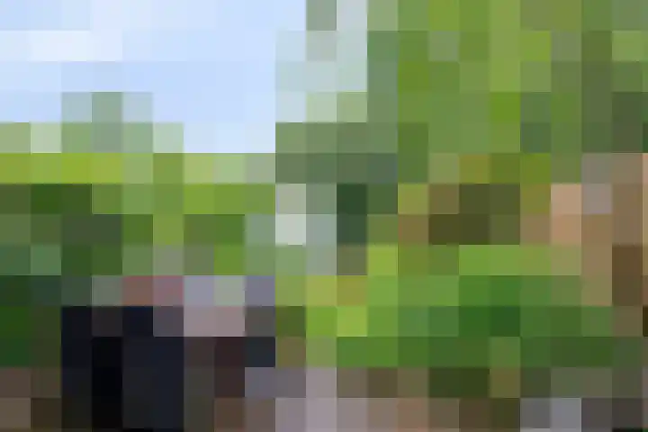 Fossemaheerd 61 Groningen thumbnail 4