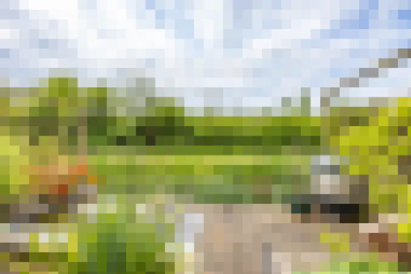 Fossemaheerd 75 Groningen thumbnail 28