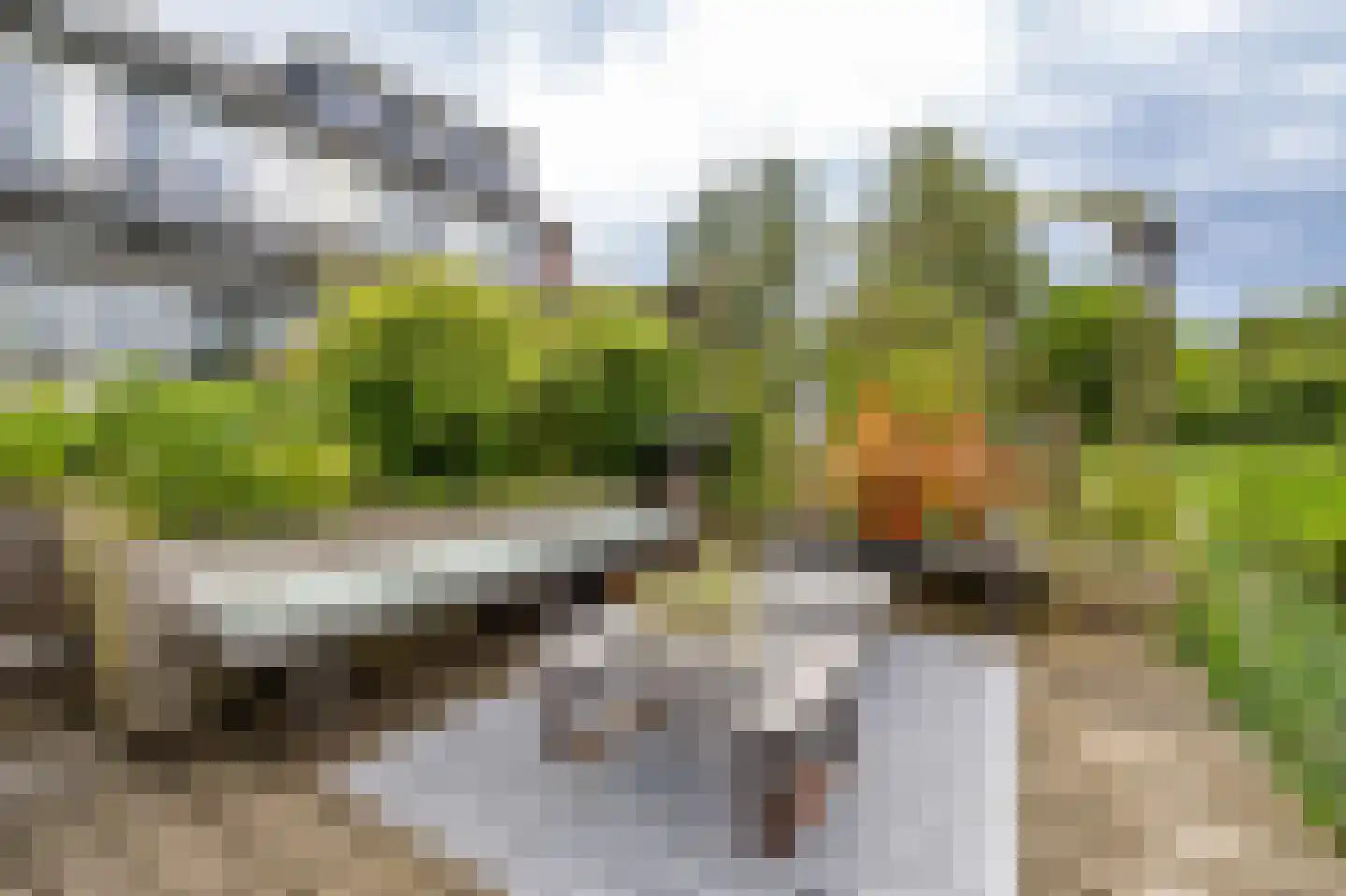 Fossemaheerd 75 Groningen thumbnail 29
