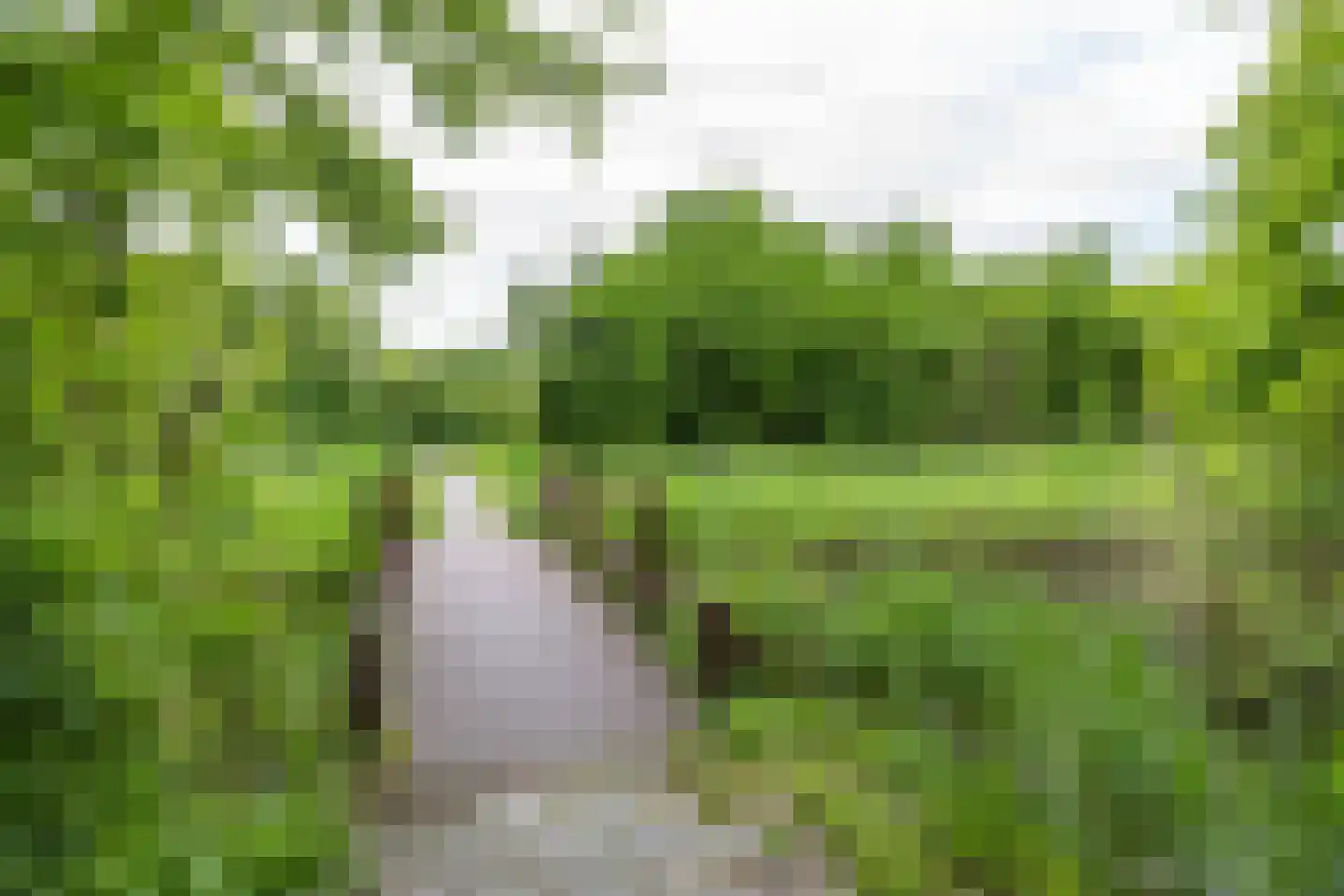 Fossemaheerd 75 Groningen thumbnail 55