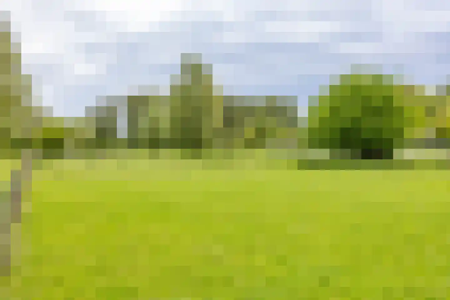 Fossemaheerd 75 Groningen thumbnail 56