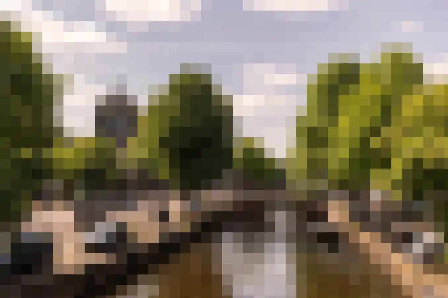 Fossemalaan 9 in Nuis