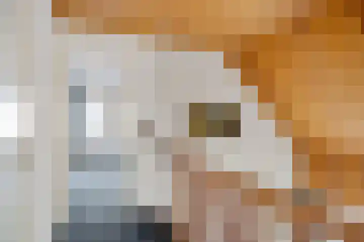 Fossemalaan 9 Nuis thumbnail 19