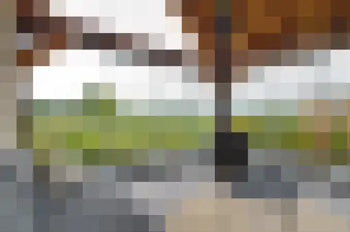 Fossemastraat 2 A Opende thumbnail 61