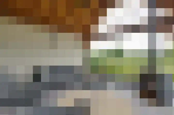Fossemastraat 2 A Opende thumbnail 63
