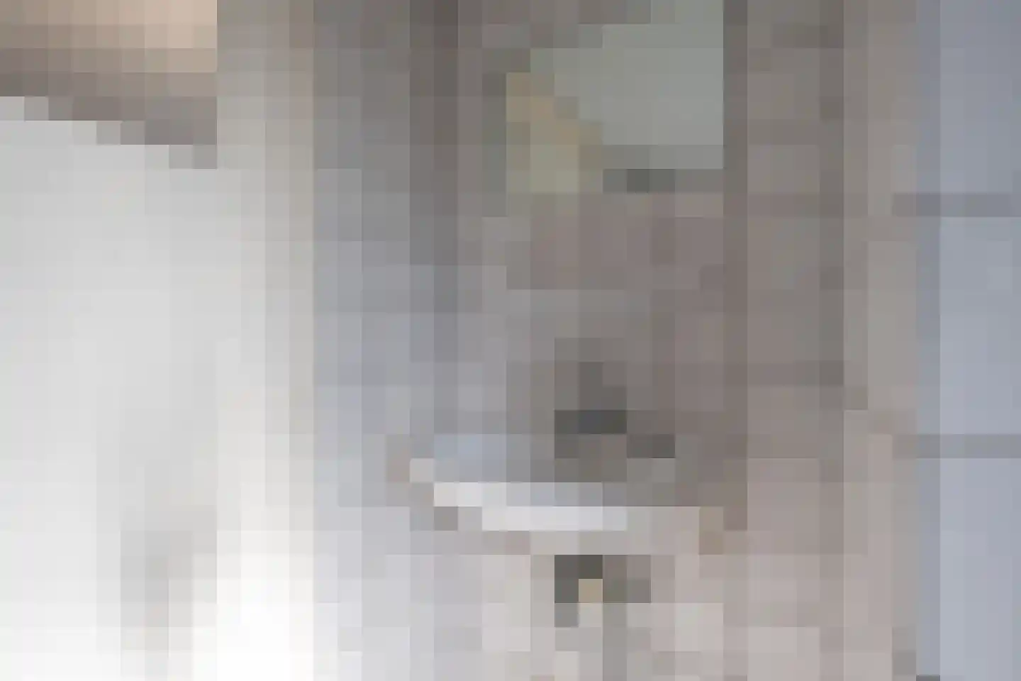 Fossemastraat 23 Surhuisterveen thumbnail 31