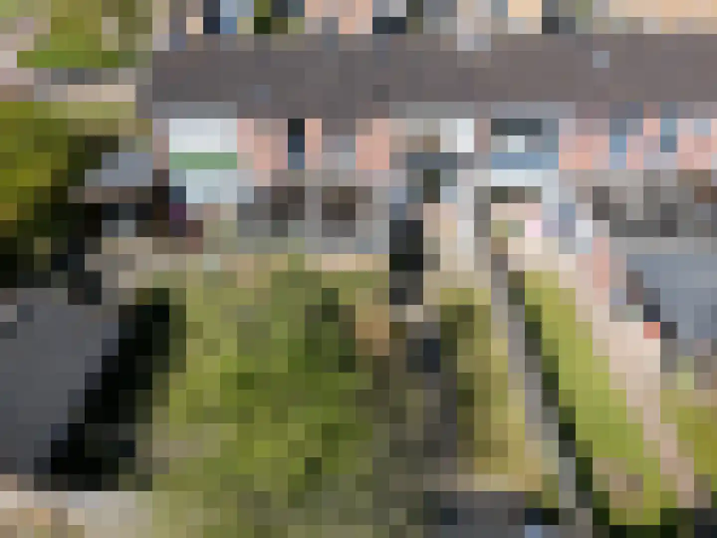 Fossemastraat 23 Surhuisterveen thumbnail 46