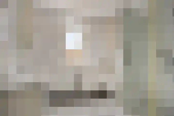 Fossielenerf 112 Heerlen thumbnail 12