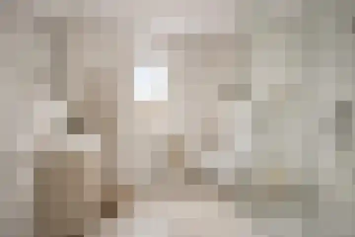 Fossielenerf 112 Heerlen thumbnail 13
