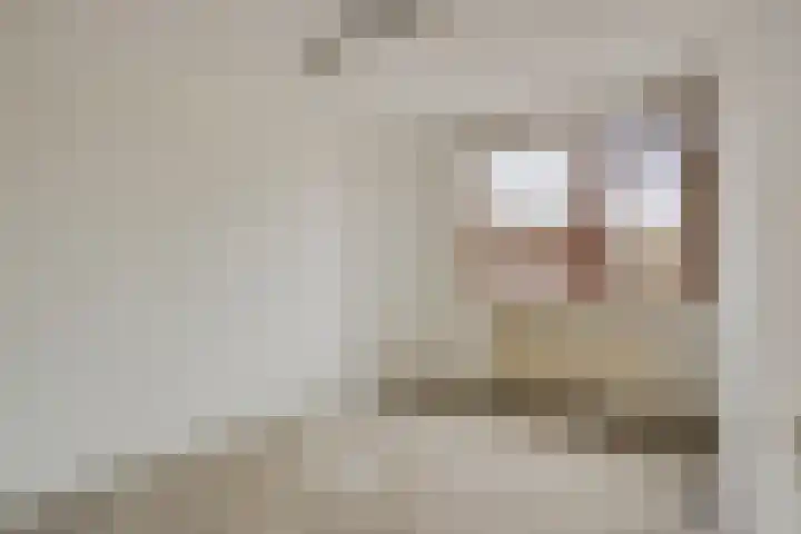 Fossielenerf 112 Heerlen thumbnail 14