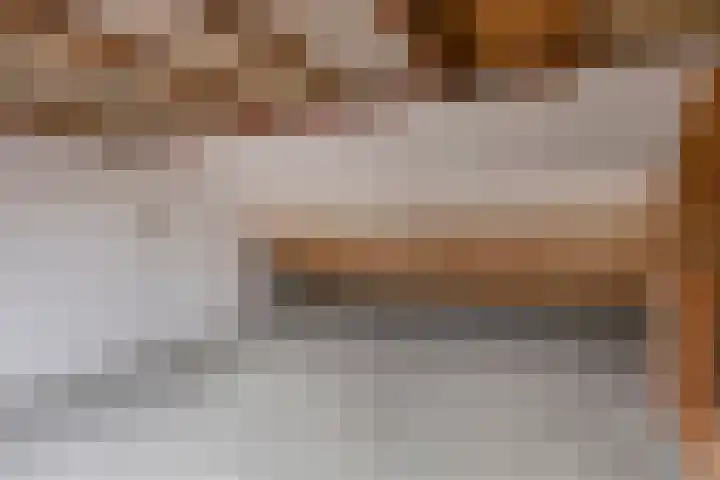 Fossielenerf 112 Heerlen thumbnail 17