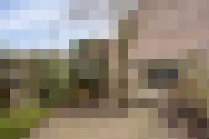 Fossielenerf 112 Heerlen thumbnail 18