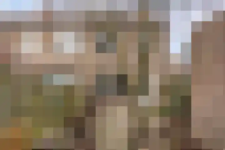 Fossielenerf 112 Heerlen thumbnail 19