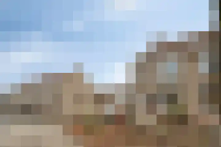 Fossielenerf 112 Heerlen thumbnail 20
