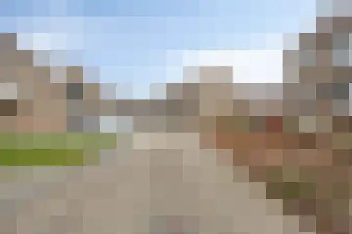 Fossielenerf 112 Heerlen thumbnail 21