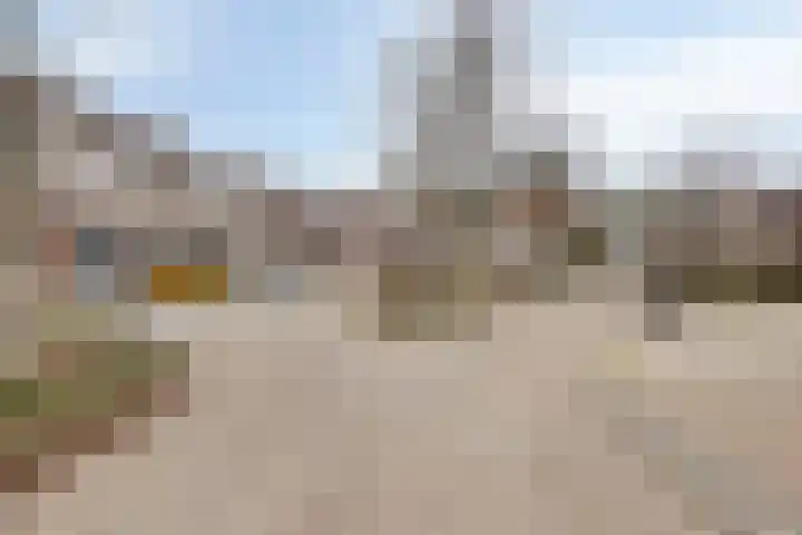 Fossielenerf 112 Heerlen thumbnail 22
