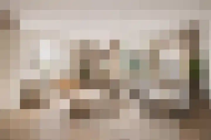Fossielenerf 112 Heerlen thumbnail 4