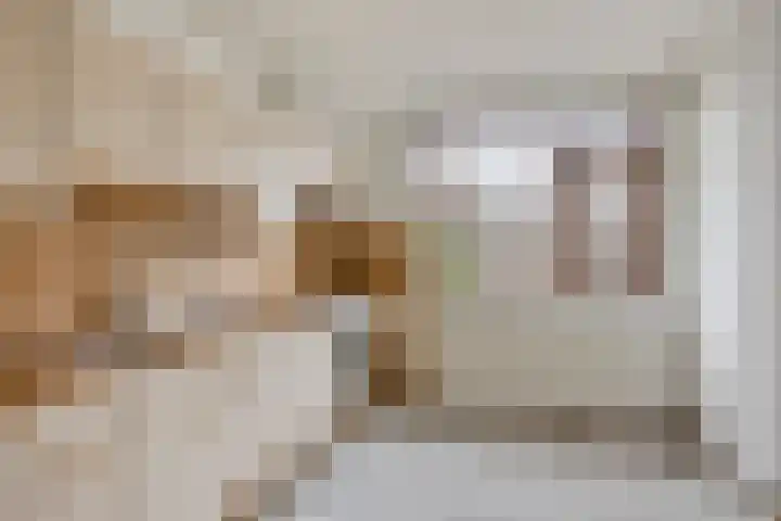 Fossielenerf 112 Heerlen thumbnail 7