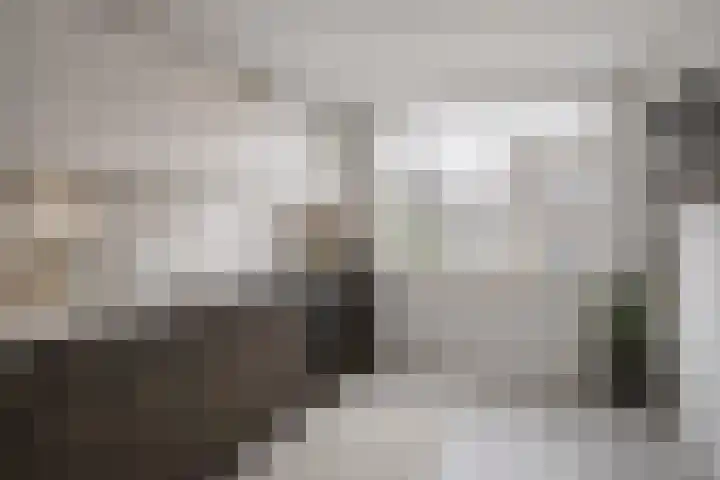 Fossielenerf 112 Heerlen thumbnail 8