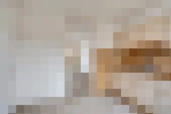 Fossielenerf 112 Heerlen thumbnail 9