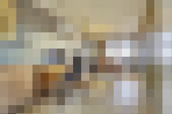 Fossielenerf 122 Heerlen thumbnail 10