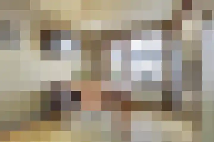 Fossielenerf 122 Heerlen thumbnail 11